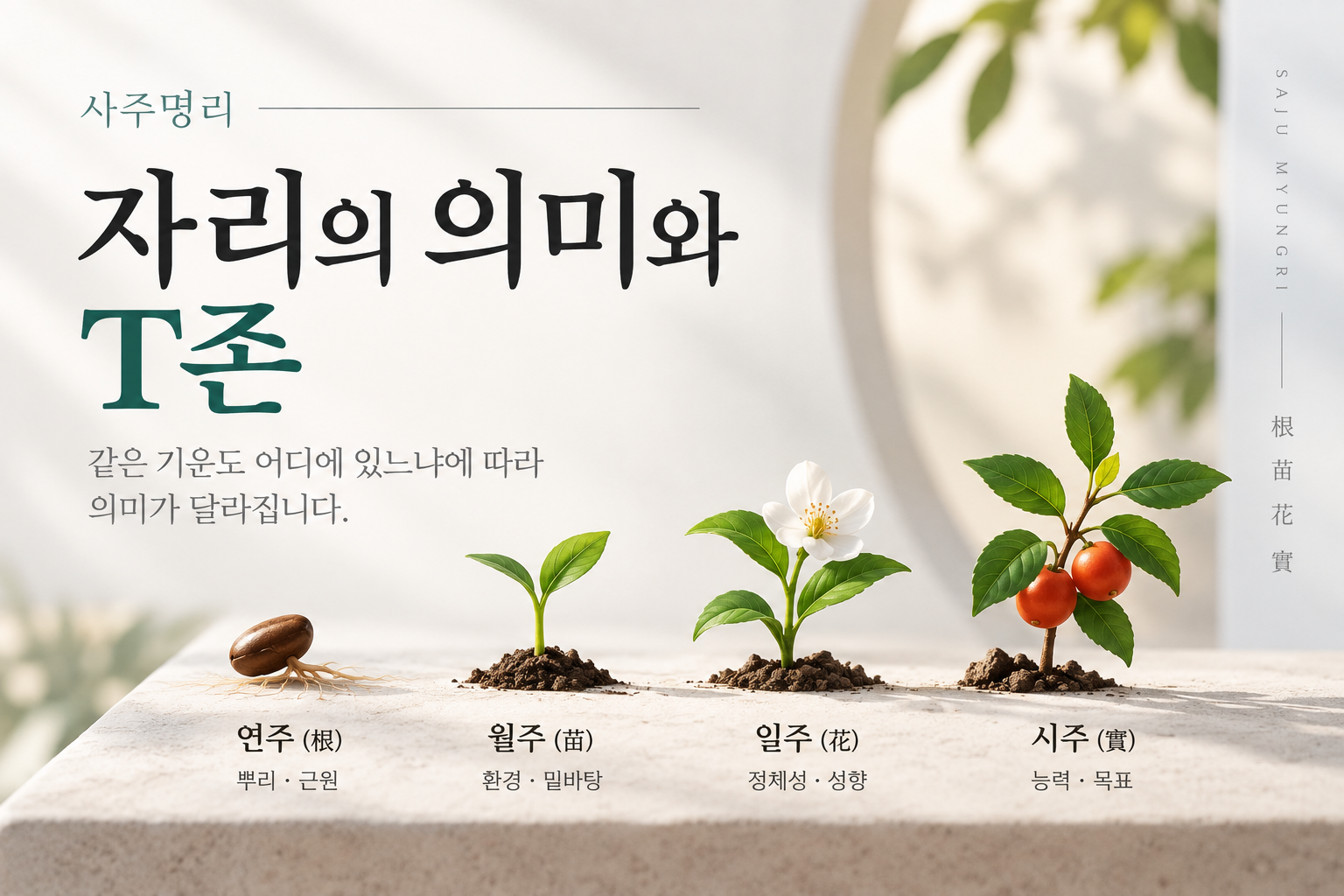 자리의 의미와 T존