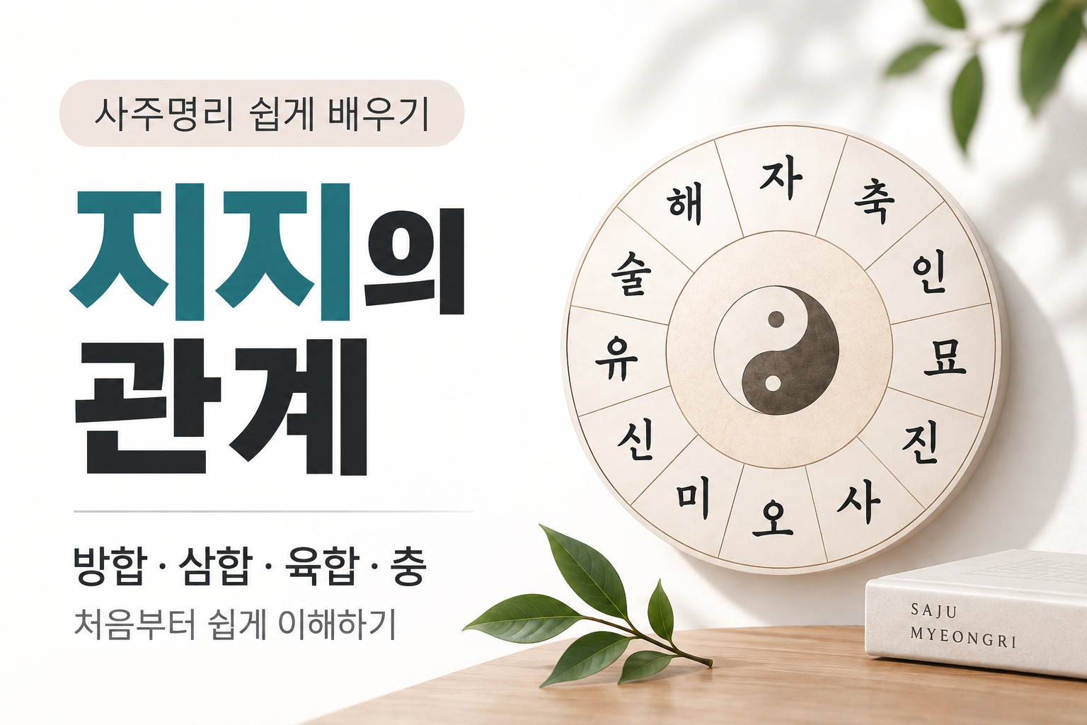 지지의 관계 이해